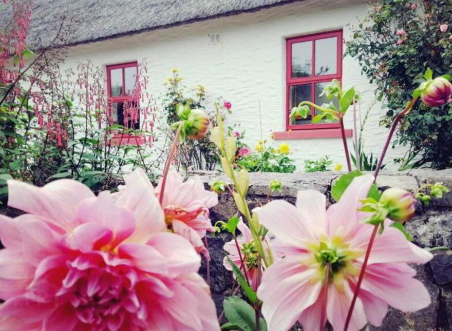 Rose Cottage, Oughtdarra, Lisdoonvarna, V95K6C5