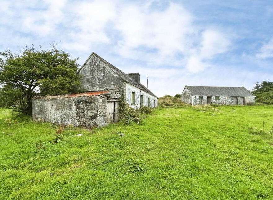 Cloonlaheen Middle, Mullagh, V95XXXX