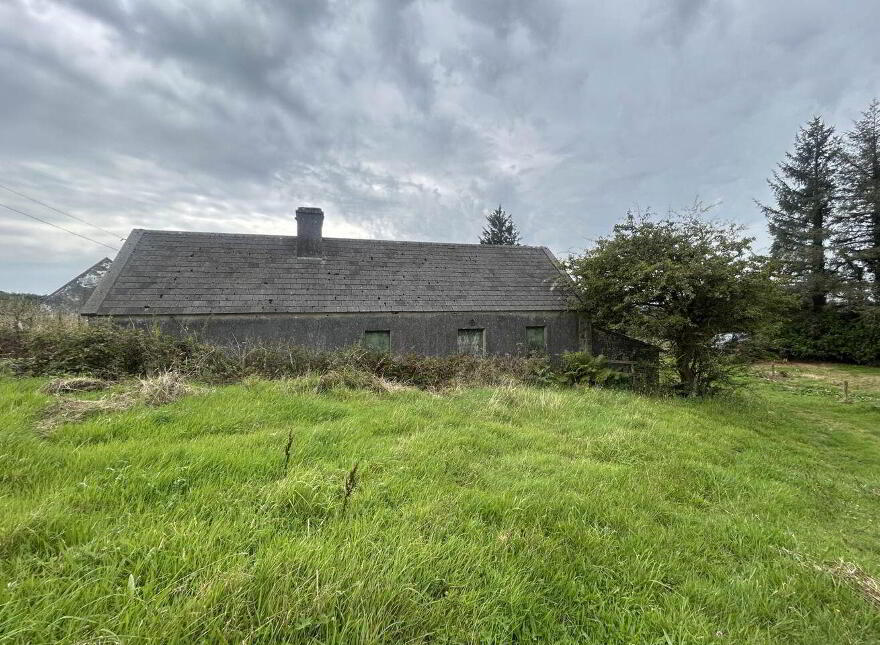 Cloonlaheen Middle, Mullagh, V95XXXX