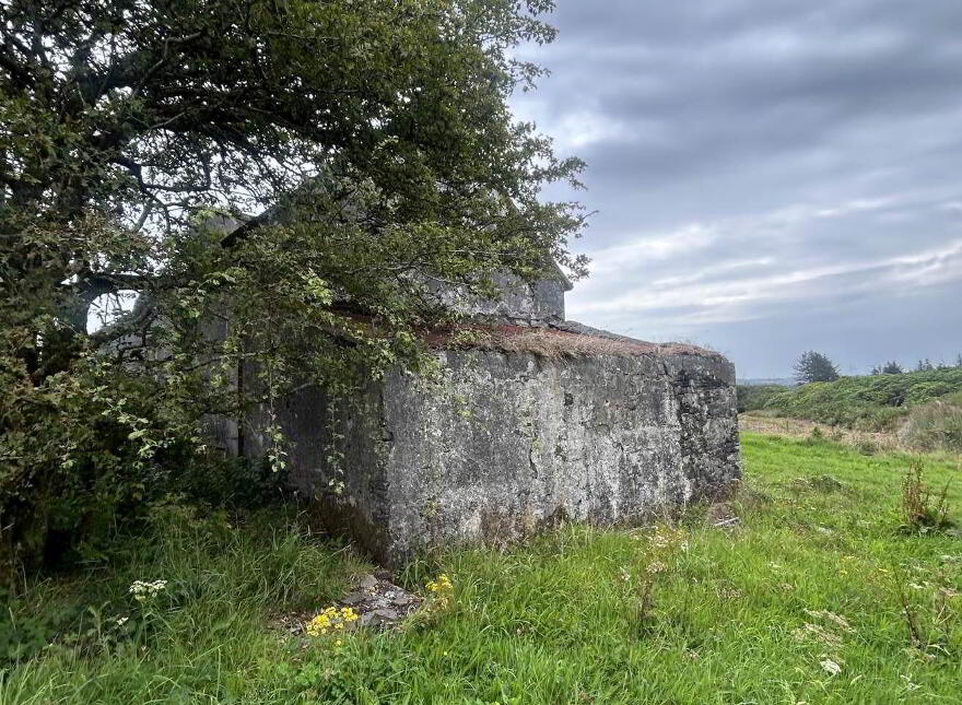 Cloonlaheen Middle, Mullagh, V95XXXX