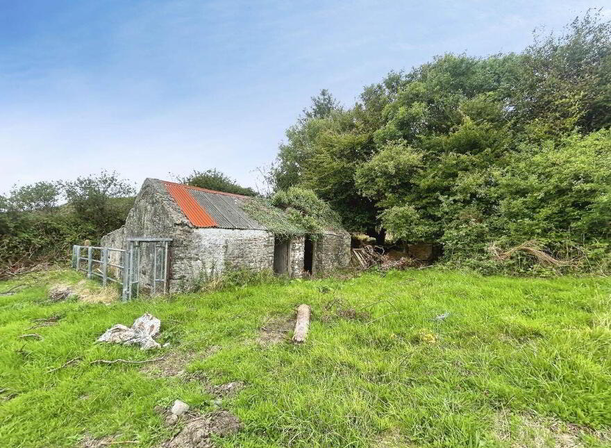 Cloonlaheen Middle, Mullagh, V95XXXX