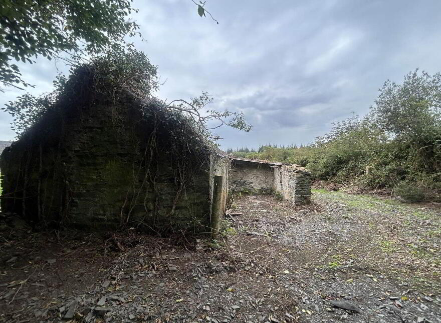 Cloonlaheen Middle, Mullagh, V95XXXX