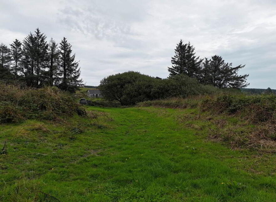 Cloonlaheen Middle, Mullagh, V95XXXX