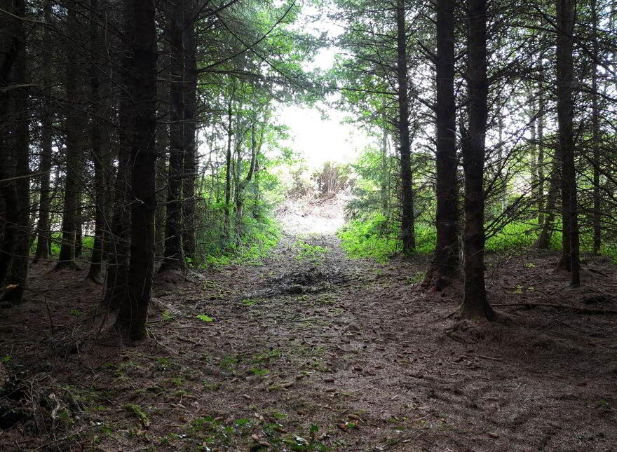 Cloonlaheen Middle, Mullagh, V95XXXX