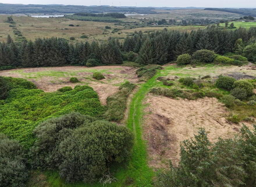 Cloonlaheen Middle, Mullagh, V95XXXX