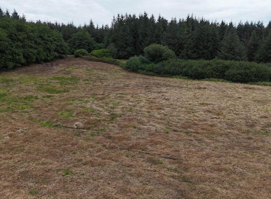 Cloonlaheen Middle, Mullagh, V95XXXX