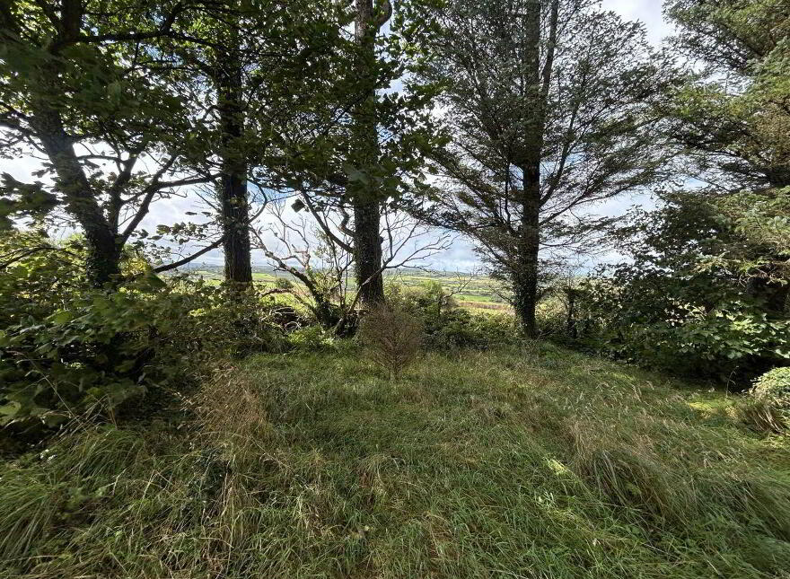 Monreel North Farmhouse, Ennistymon, V95Y7H9