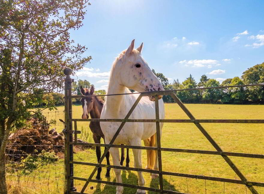 Glenview House, Tomdarragh, Tomdarragh, A98T443