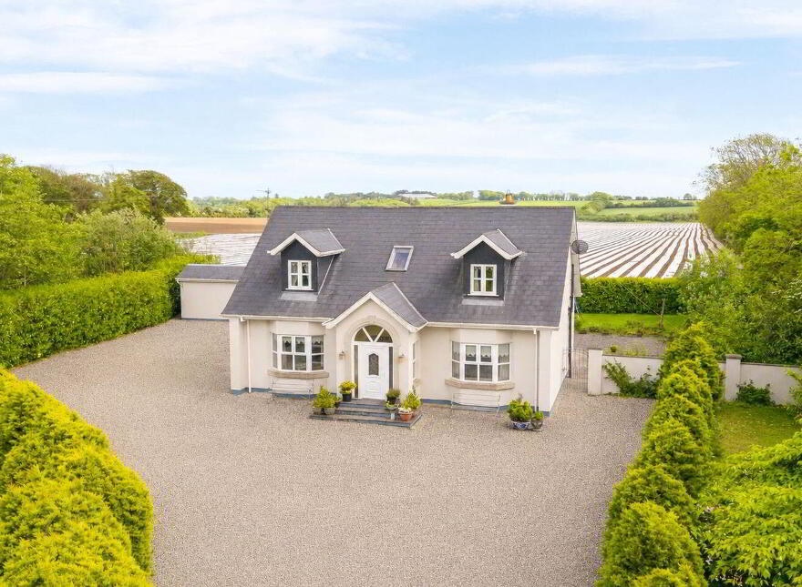Raheenduff, Oulart, Y25A897 photo