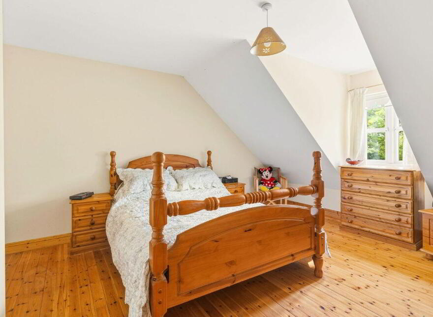 Raheenduff, Oulart, Y25A897