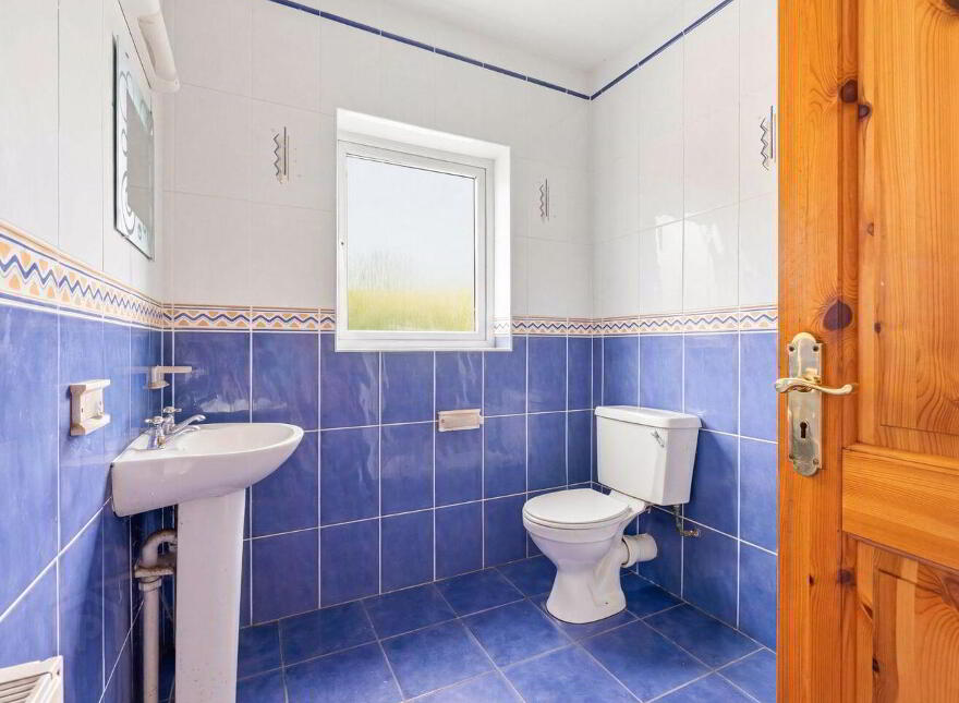 Raheenduff, Oulart, Y25A897