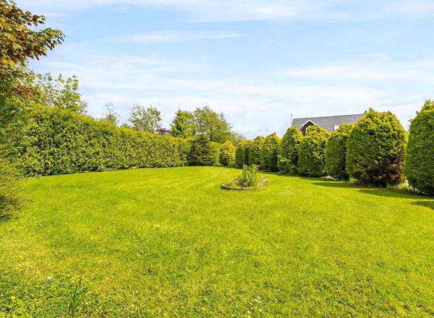 Raheenduff, Oulart, Y25A897