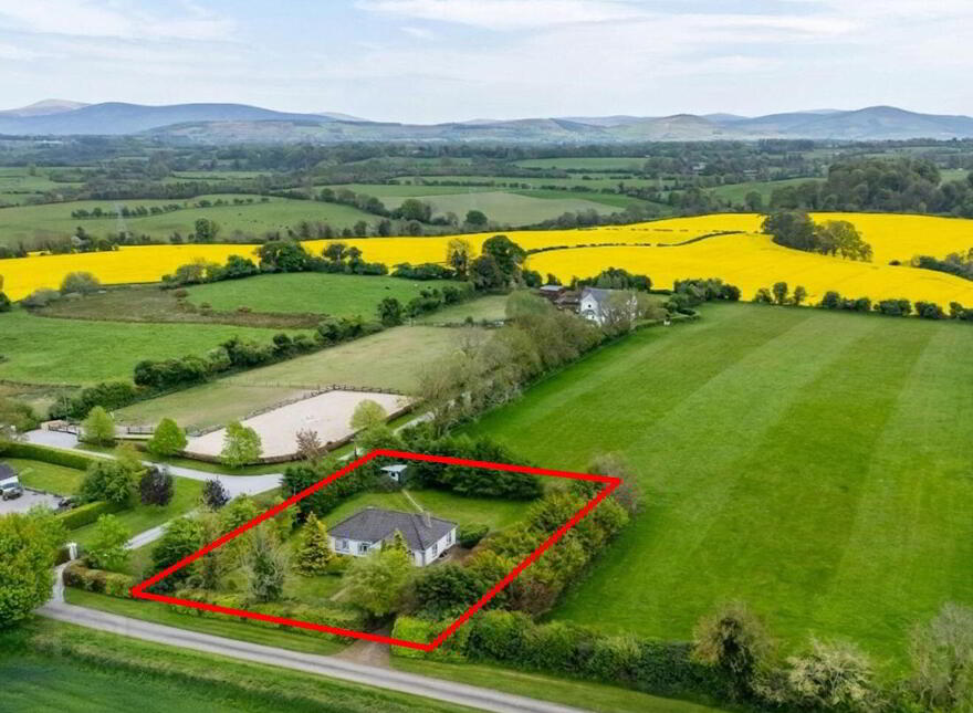 Harristown, Brannockstown, Kildare, W91V1D2 photo