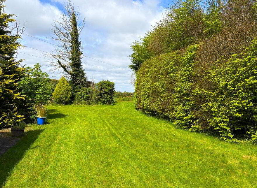 Harristown, Brannockstown, Kildare, W91V1D2