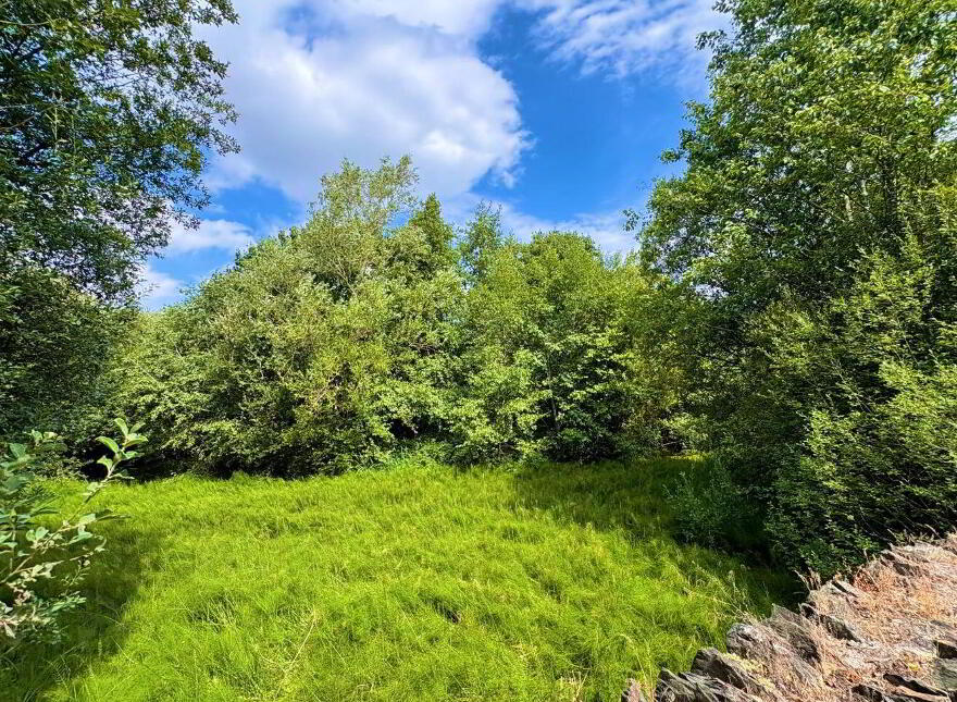The Pond House, Narraghmore, Kilcullen, R14NY36