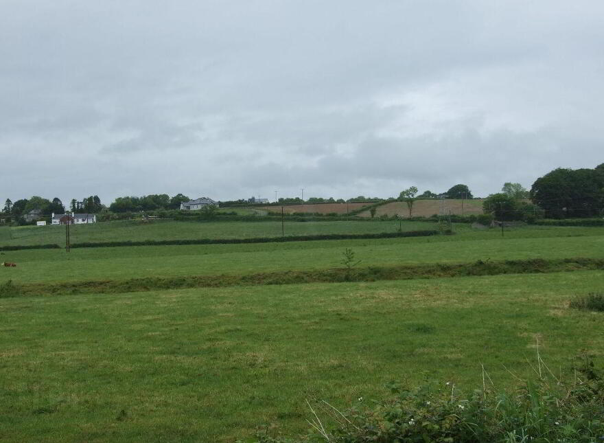 Lisbunny, Nenagh, E45EK70