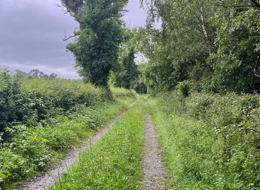 Ballymacegan, Portland, Portland, E45XY79