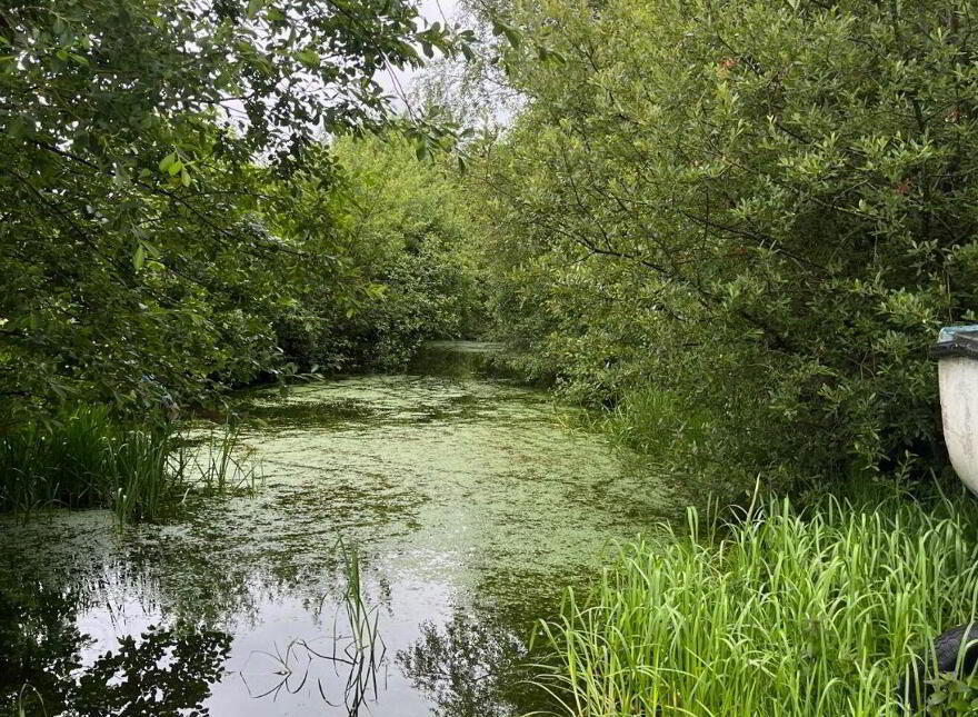 Ballymacegan, Portland, Portland, E45XY79