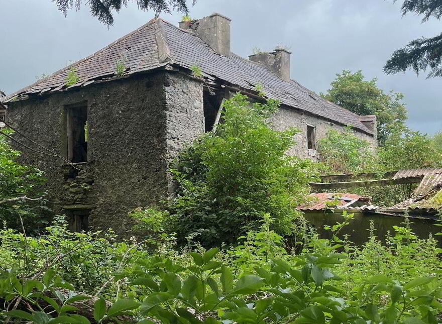Glebe House, Ruins & Pig Farm Anglont, Killorglin photo