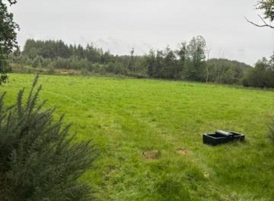 Bleach Green Lane, Chapel Road, Dungiven, BT47 4LF
