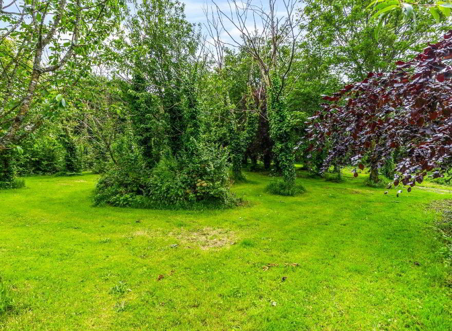 Fairgreen Cottage, Cooladerra, Ballymacoda, P25YX96