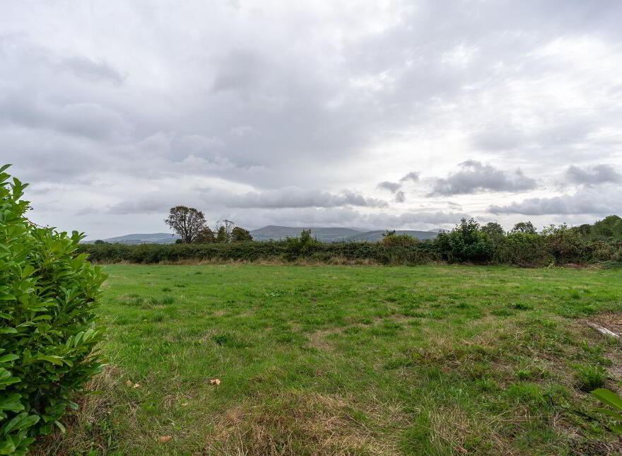 Muine Bheag, Ballinkillin, R21AD77