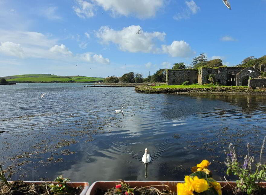 Daffodil House, Ahidelake, Middle Ring, Clonakilty, P85CC85