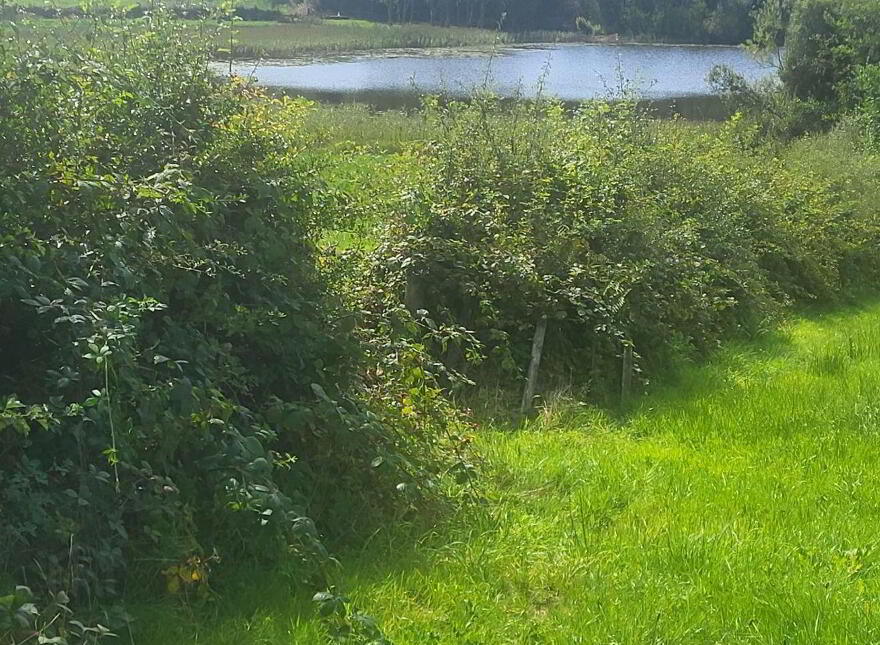Waters Edge, Augharan, Aughavas, H12YH58