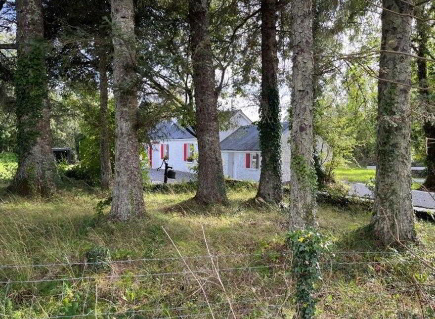 Faerie Nuff Cottage, Caddagh, Dromahair, F91X7R0