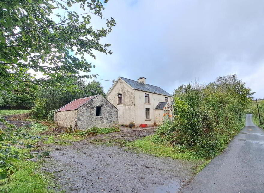 Lisgorman, Killargue, Dromahair, F91H308