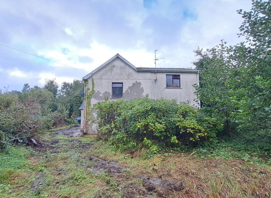 Lisgorman, Killargue, Dromahair, F91H308