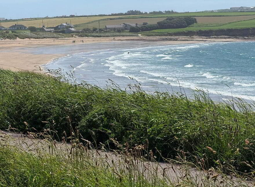 Lispatrick Lower, Old Head, Garrettstown, P17CV97