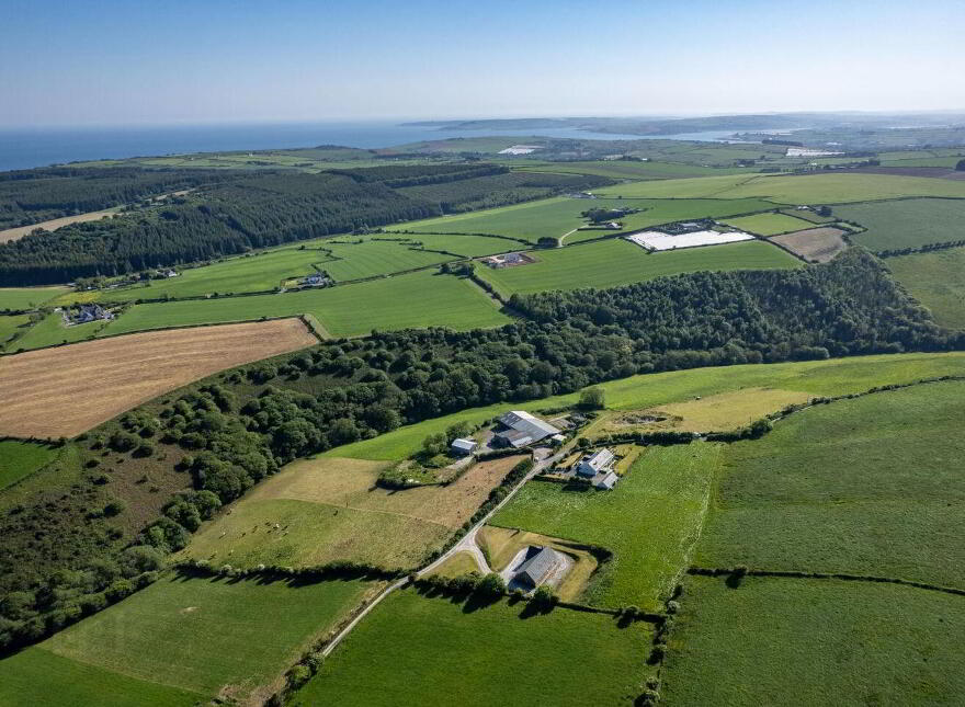 Gortnacrusha, Ballinspittle, P17NX04