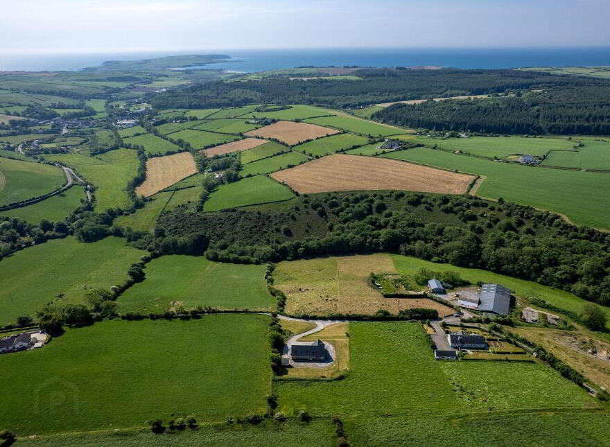 Gortnacrusha, Ballinspittle, P17NX04