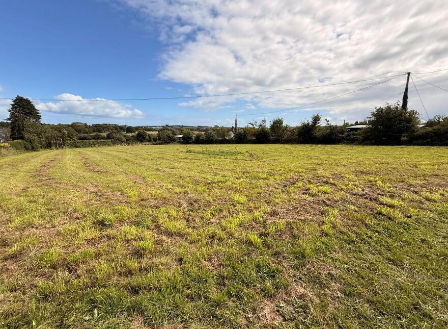 Dunderrow, Kinsale, P17Y529