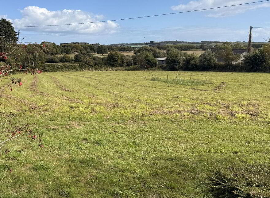 Dunderrow, Kinsale, P17Y529