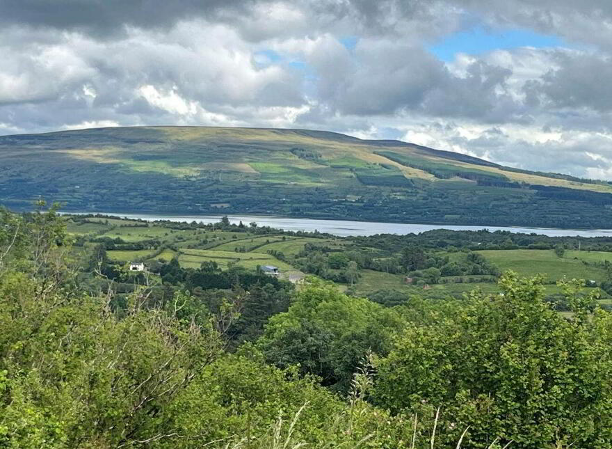 Derreenavoggy, Arigna, Carrick-On-Shannon, N41TV77