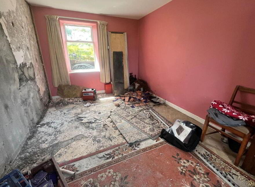 Derreenavoggy, Arigna, Carrick-On-Shannon, N41TV77