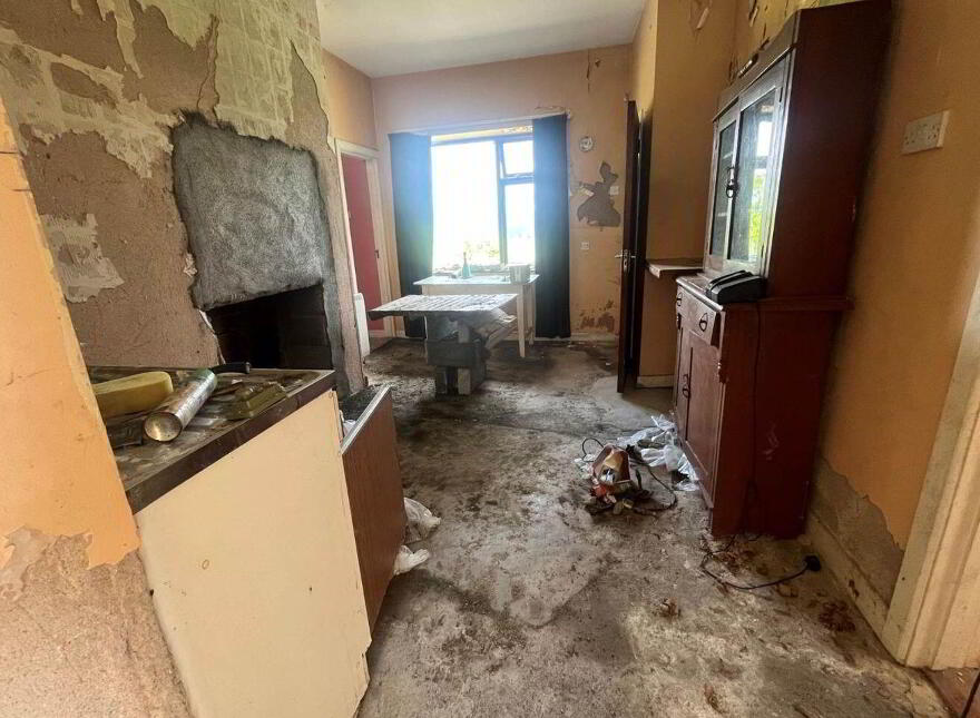 Derreenavoggy, Arigna, Carrick-On-Shannon, N41TV77