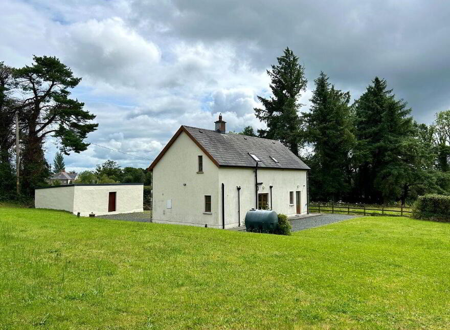 Tawnagh More, Mohill, N41FP79