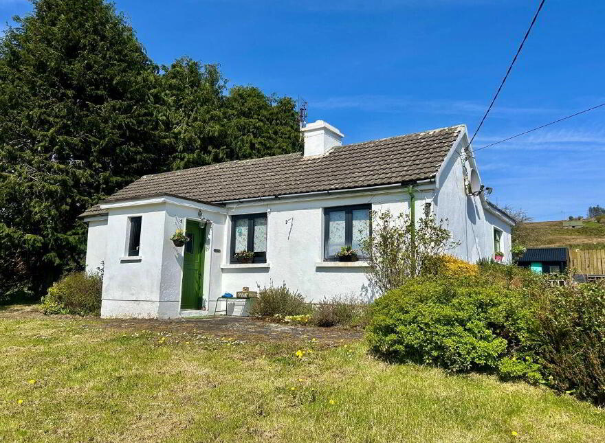 Greaghnafarna, Arigna, Carrick-On-Shannon, N41N288 photo