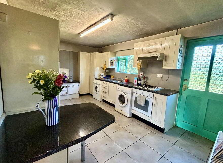 Greaghnafarna, Arigna, Carrick-On-Shannon, N41N288