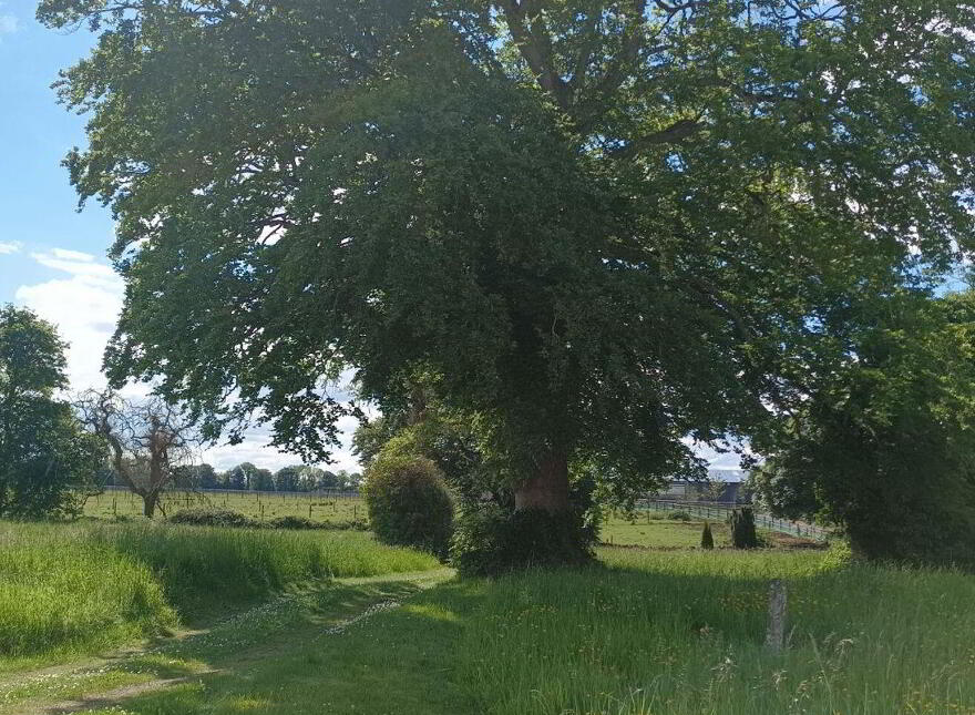 Hollypark House, Hollypark, Kilcornan, V94E2XV