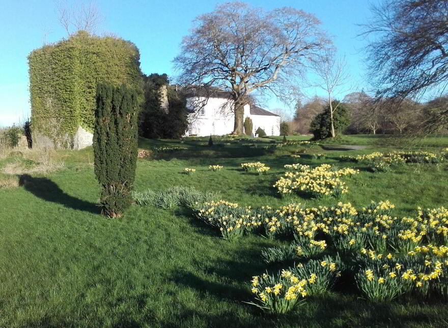 Hollypark House, Hollypark, Kilcornan, V94E2XV
