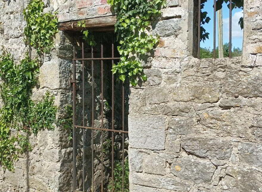 Hollypark House, Hollypark, Kilcornan, V94E2XV