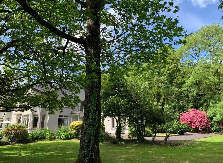 Prescott Coill, Ballinruane, Kilmeedy, V42AE48