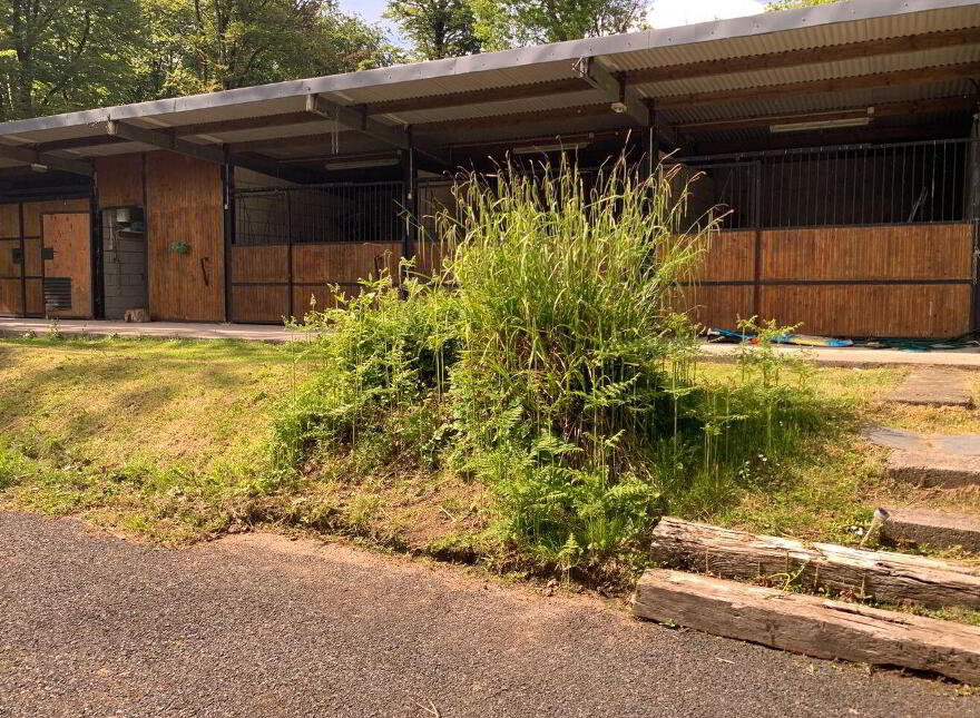 Prescott Coill, Ballinruane, Kilmeedy, V42AE48