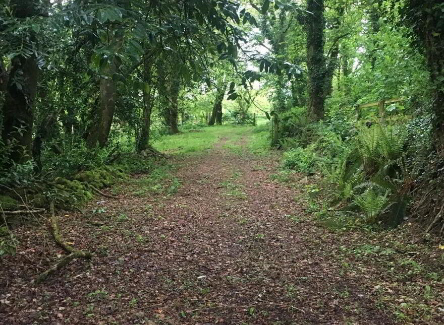 Prescott Coill, Ballinruane, Kilmeedy, V42AE48
