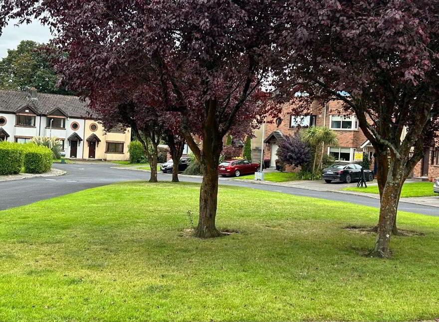 22 Lifford Park, South Circular Road, V94CPC8