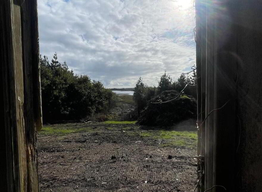 Taghnarra, Castlerea